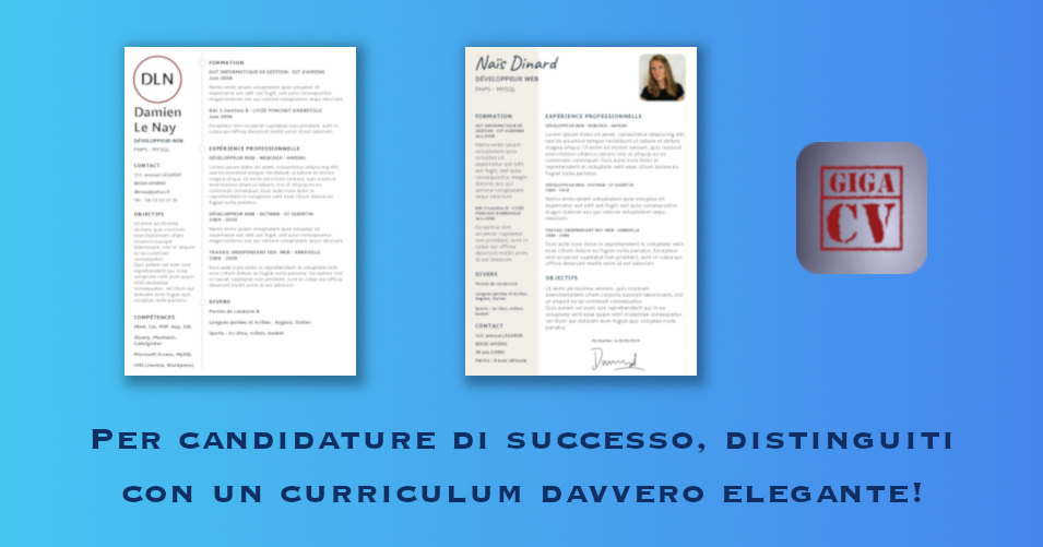 Curriculum vitae format image